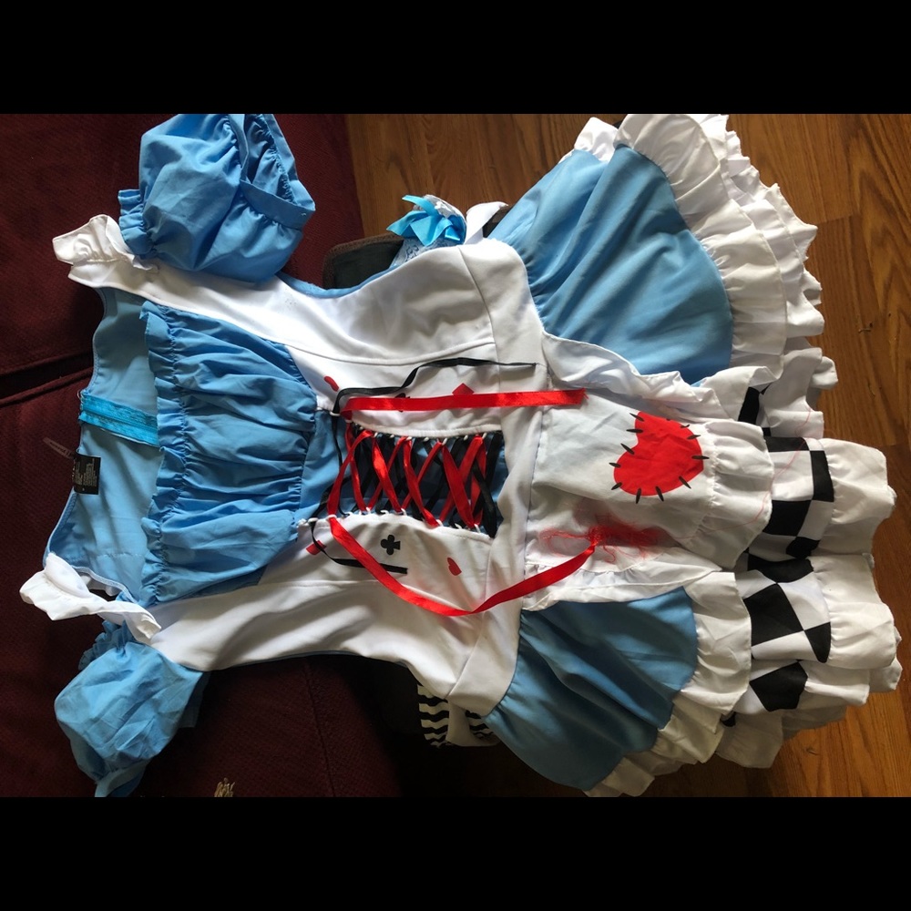 Alice and Wonderland Themed Halloween Costume